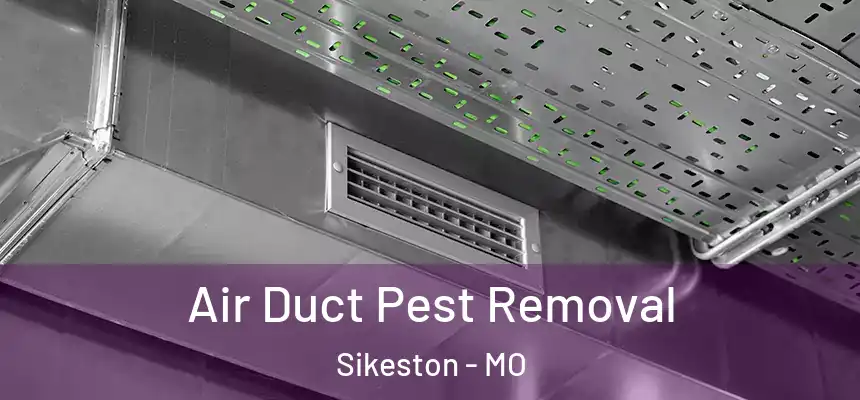  Air Duct Pest Removal Sikeston - MO