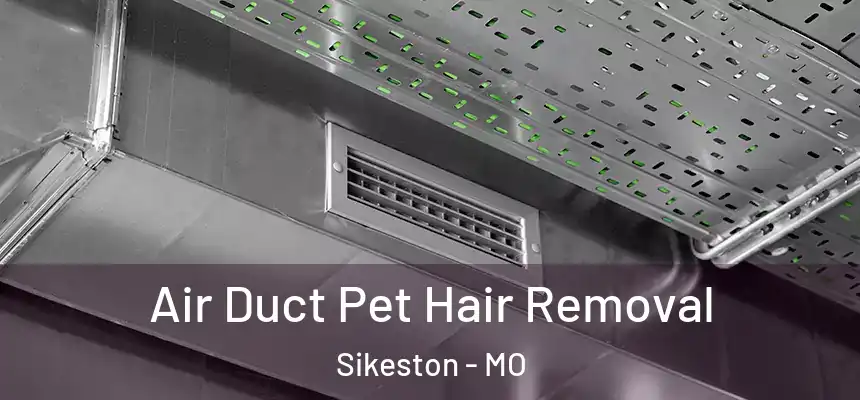  Air Duct Pet Hair Removal Sikeston - MO