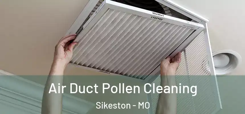  Air Duct Pollen Cleaning Sikeston - MO