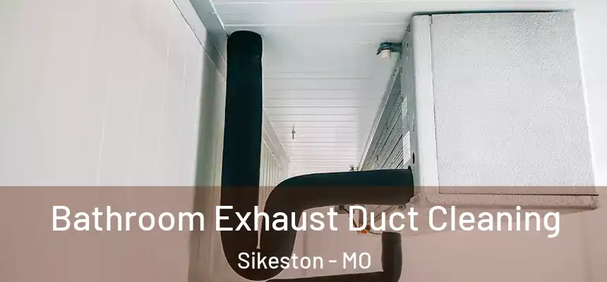  Bathroom Exhaust Duct Cleaning Sikeston - MO