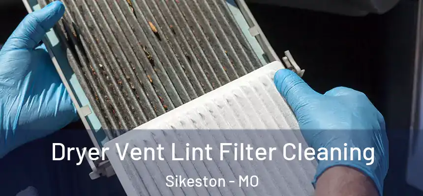  Dryer Vent Lint Filter Cleaning Sikeston - MO