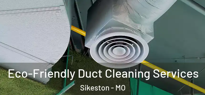  Eco-Friendly Duct Cleaning Services Sikeston - MO