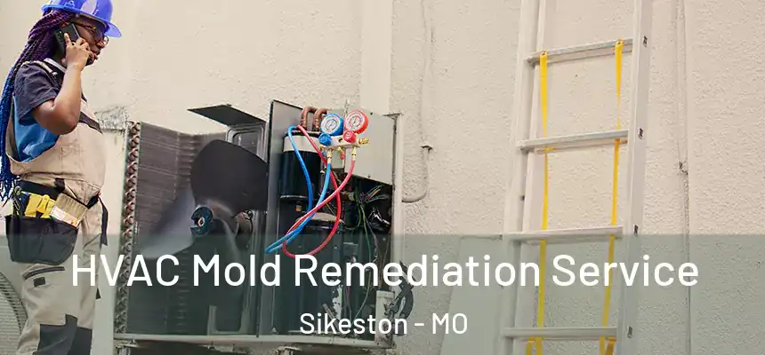 HVAC Mold Remediation Service Sikeston - MO