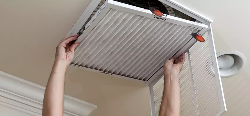 Preventive Cockroach-Proofing for Ducts in Sikeston