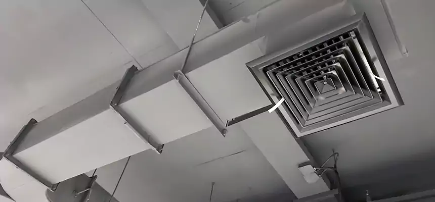 Restorative Allergy Relief Vent Cleaning – Coil, Blower & Housing Detail in Sikeston