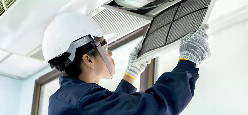 Our Mold & Mildew Removal from Air Ducts Services in Sikeston, MO