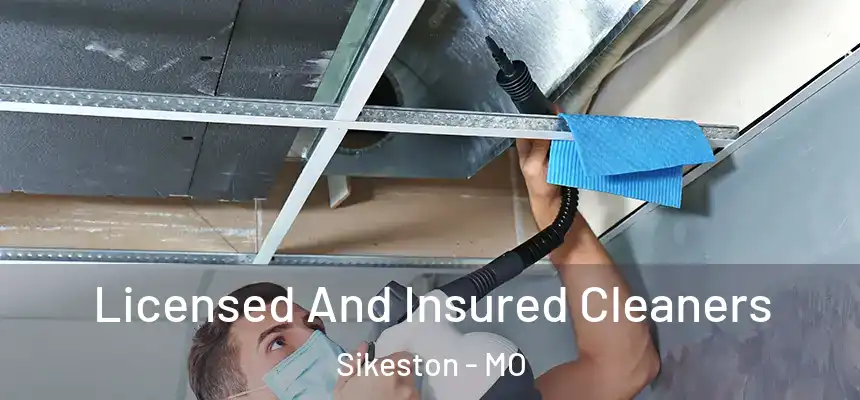  Licensed And Insured Cleaners Sikeston - MO