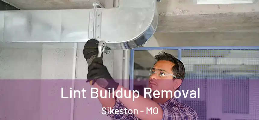  Lint Buildup Removal Sikeston - MO