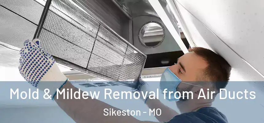  Mold & Mildew Removal from Air Ducts Sikeston - MO