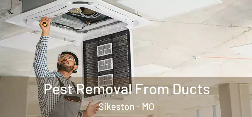  Pest Removal From Ducts Sikeston - MO