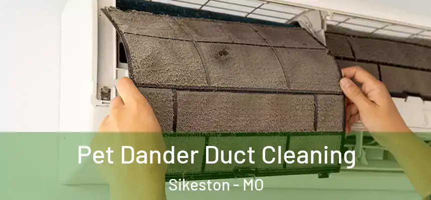  Pet Dander Duct Cleaning Sikeston - MO