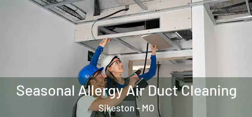  Seasonal Allergy Air Duct Cleaning Sikeston - MO