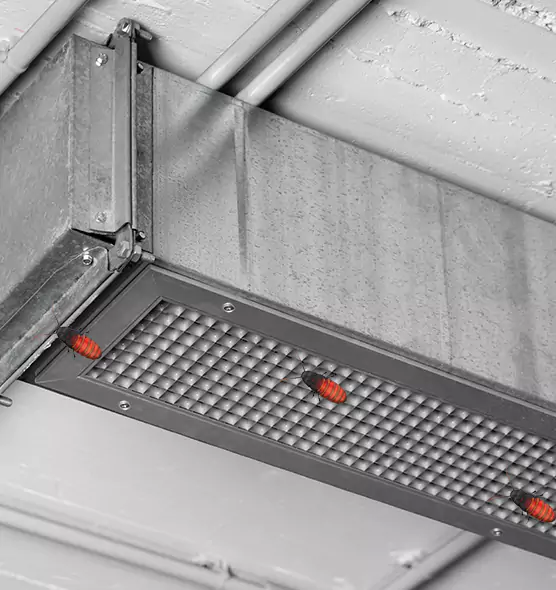About Air Duct Cockroach Removal in Sikeston, MO