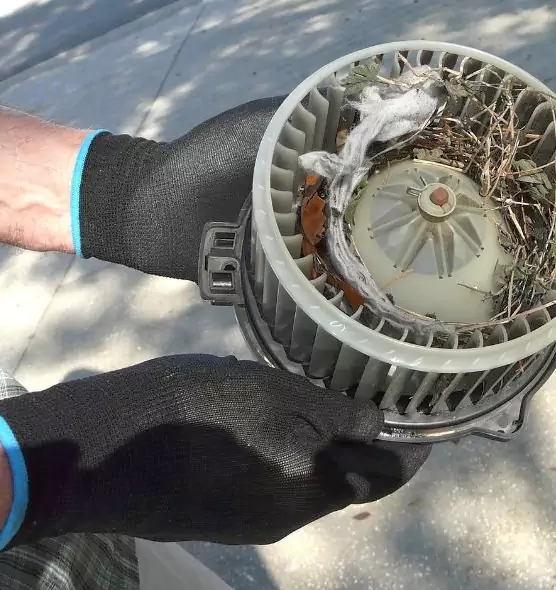 About Air Duct Mice Removal in Sikeston, MO