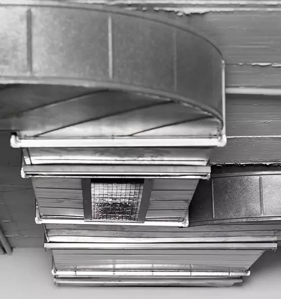 Professional Air Duct Pest Removal in Sikeston, MO