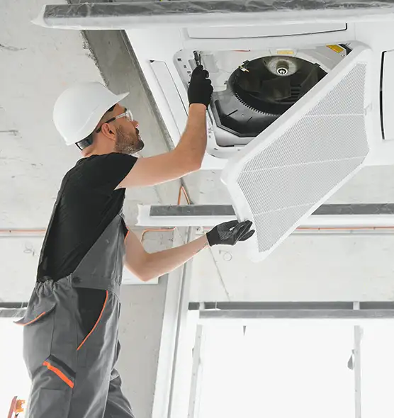 About Air Duct Rodent Removal in Sikeston, MO