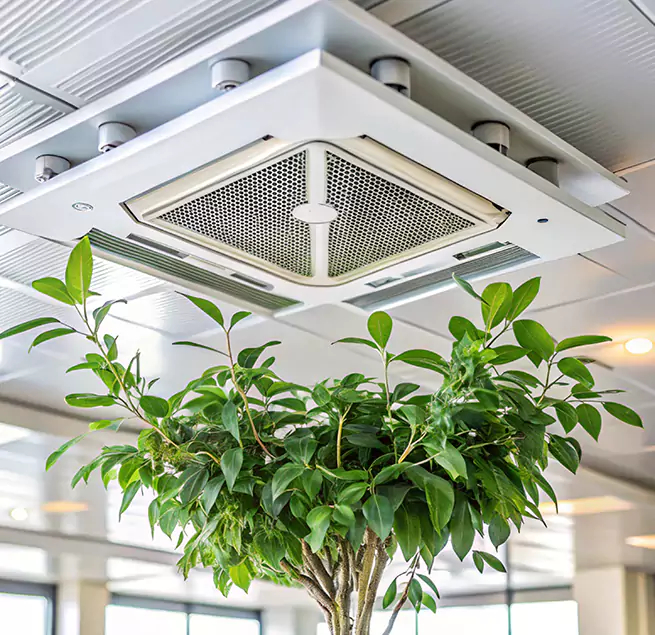 Why Homeowners & Businesses Trust Us in Sikeston, MO?