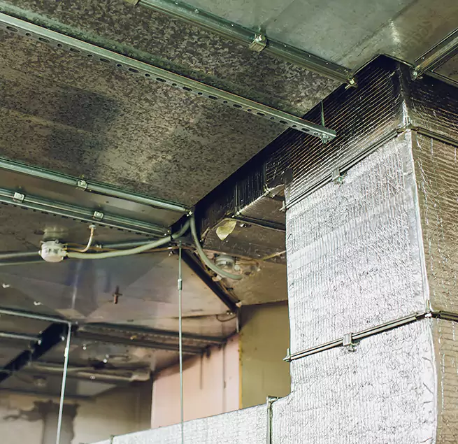 Why Homeowners & Businesses Trust Us in Sikeston, MO?