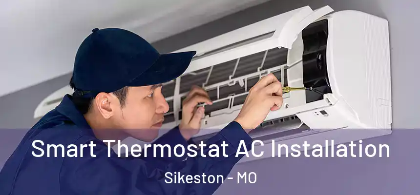  Smart Thermostat AC Installation Sikeston - MO